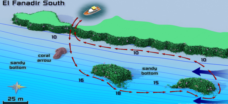 El Fanadir South Dive Site Map