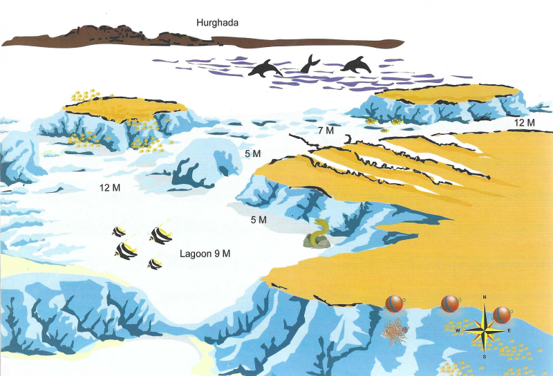 Fanous West Dive Site Map