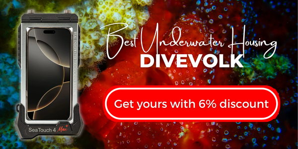 Get your Divevolk housing with 6% discount