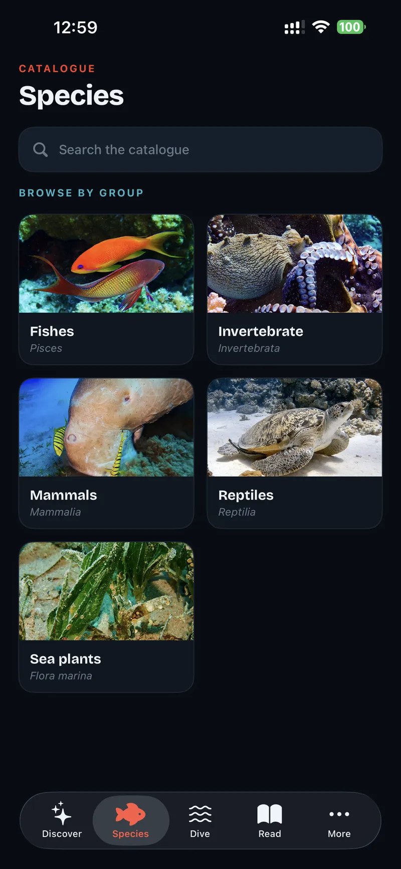Species catalogue