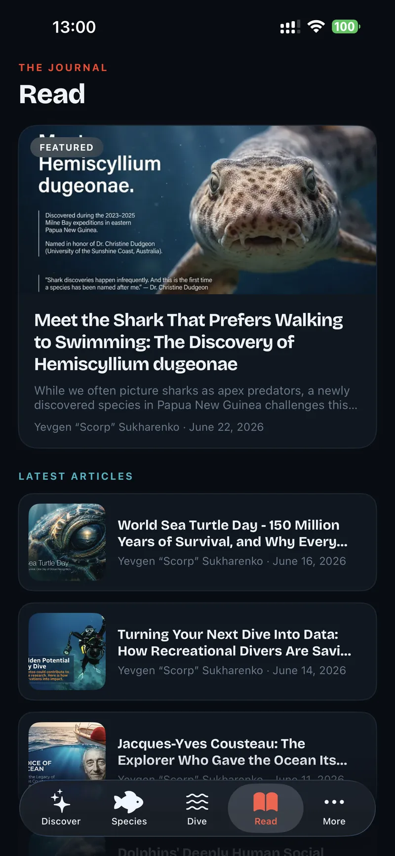 Stories & guides