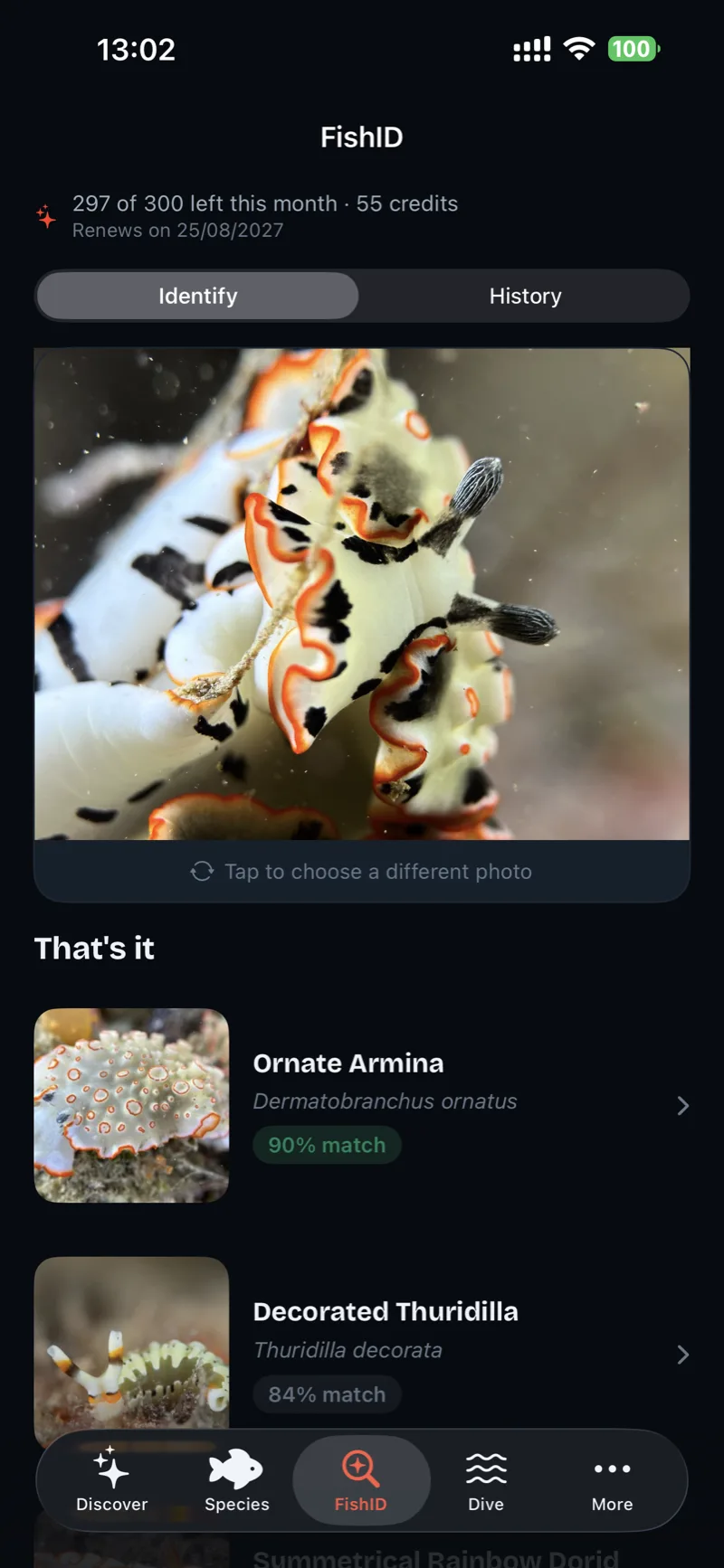 FishID: a species identified from a photo