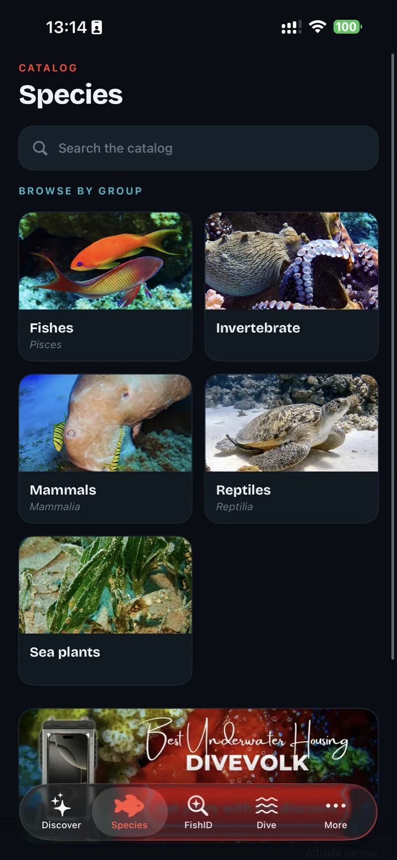 Species catalogue