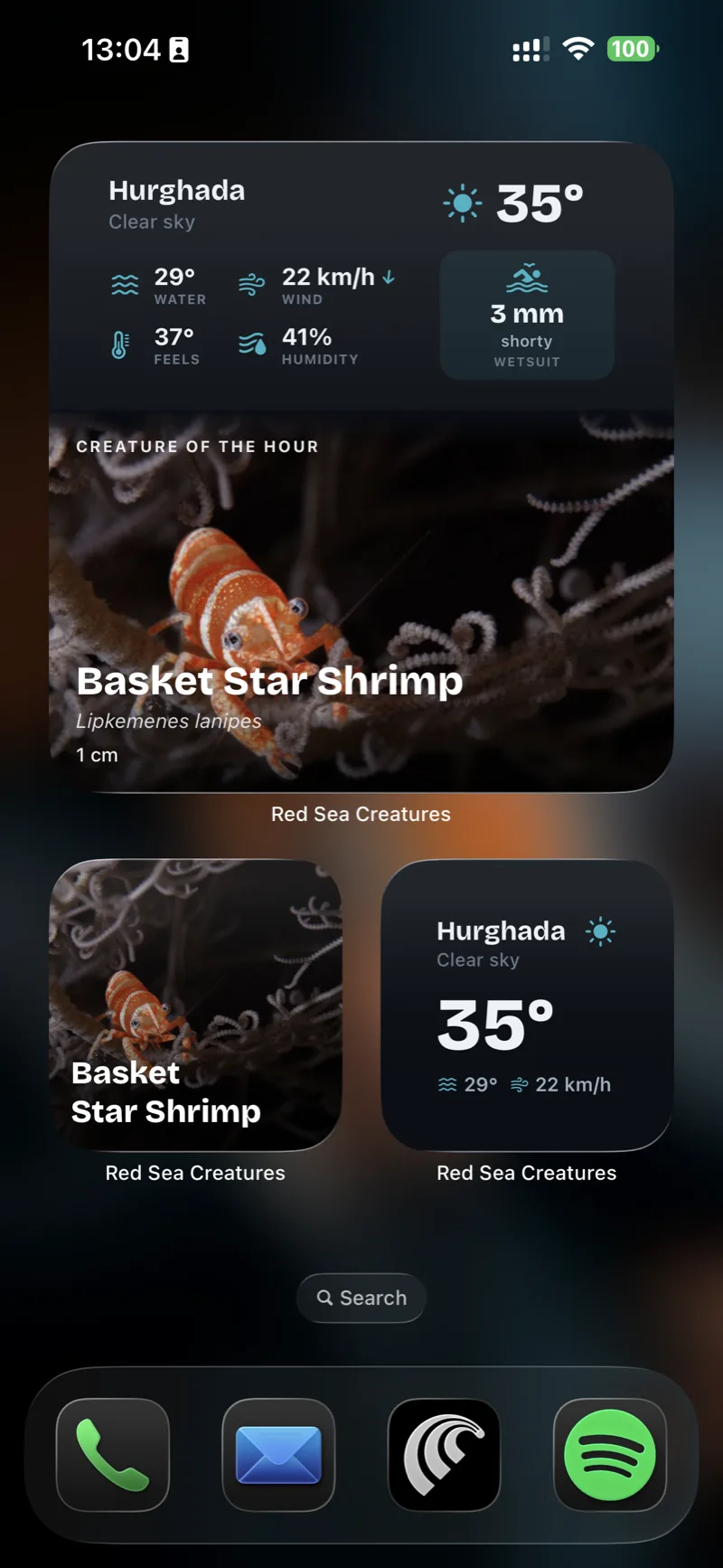 Home & Lock Screen widgets