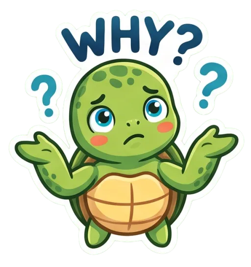 Cartoon green sea turtle shrugging, confused (Why)