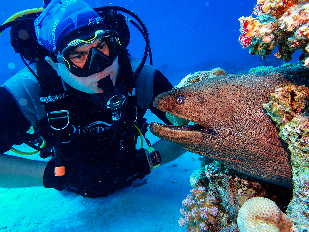 Yevgen with Giant Moray at Gota Abu Ramada