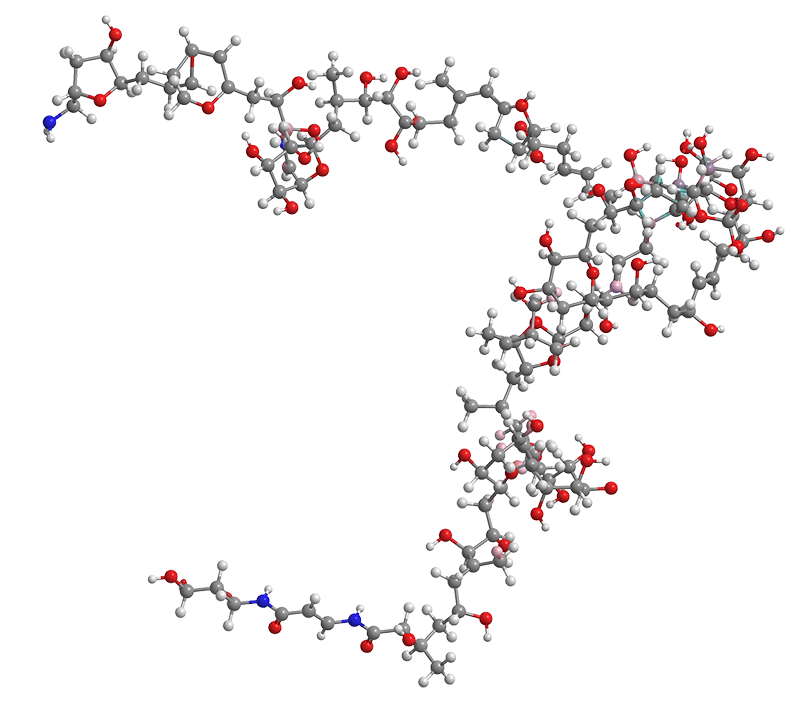 Ball-and-stick model of the palytoxin molecule, a long chain of carbon, oxygen and hydrogen atoms